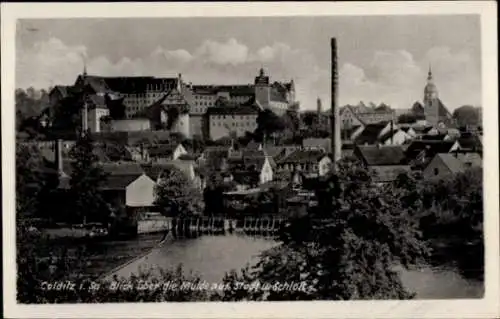 Ak Colditz in Sachsen, Blick über die Mulde, Stadt, Schloss, Kulturhaus