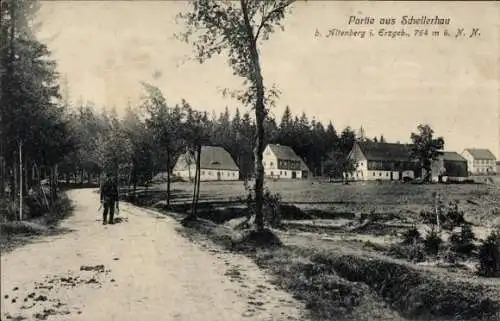 Ak Altenberg im Erzgebirge, Landschaftsaufnahme, Straße, Häuser, Wald