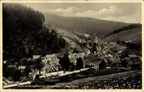 Ak Wildemann Clausthal Zellerfeld im Oberharz, Blick auf den Ort mit Umgebung