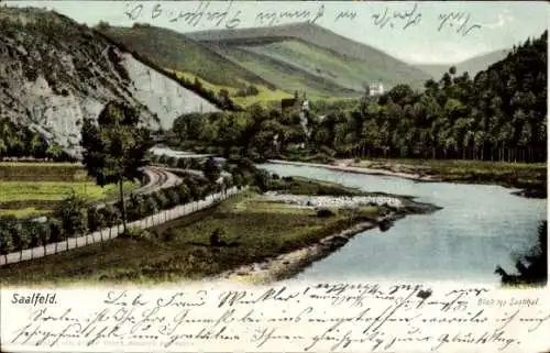 Ak Saalfeld, Blick ins Saaletal, Fluss, Berge, Wald, Landschaftsidyll