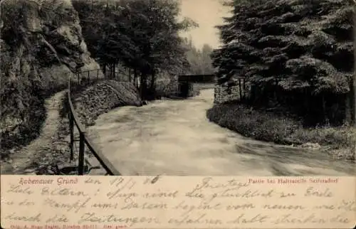 Ak Rabenau im Erzgebirge, Rabenauer Grund, Flussansicht, Bäume, Brücke, Haltestelle Seifersdorf, 
