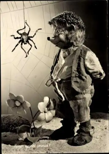 Ak Mecki der Igel, Einer spinnt immer, Spinne