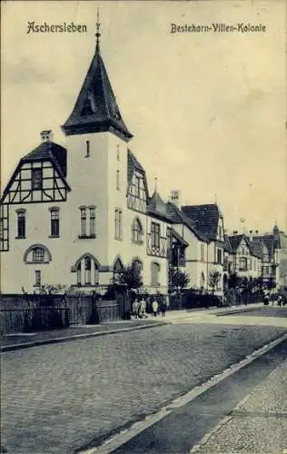 Ak Aschersleben im Salzlandkreis,  Bestehorn-Villen-Kolonie, Straßenansicht, alte Architektur