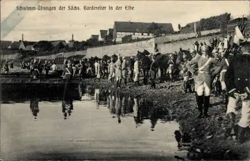 Ak Schwimm-Übungen der Sächsischen Gardereiter in der Elbe