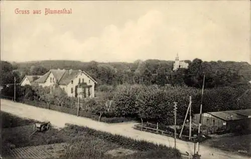 Ak Blumenthal Hansestadt Bremen, Teilansicht