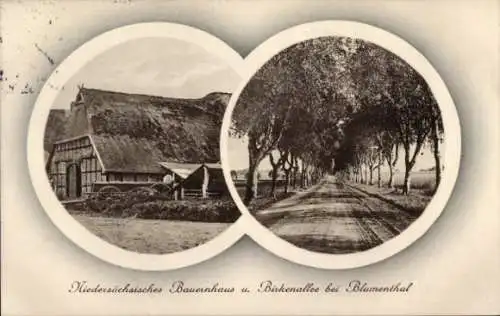 Ak Blumenthal Hansestadt Bremen, Niedersächsisches Bauernhaus, Birkenallee bei Blumenthal