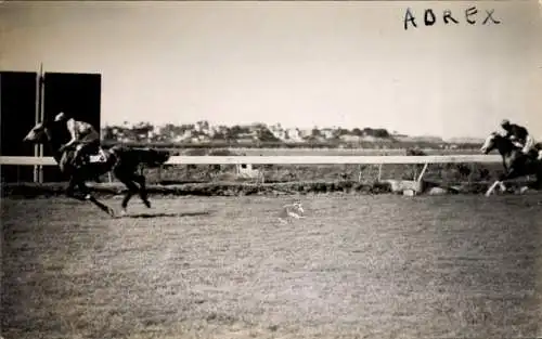 Ak Alexandria Ägypten, Pferderennen, Reiter auf Pferden