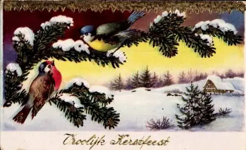 Ak Frohe Weihnachten, Dorfidyll, Vögel