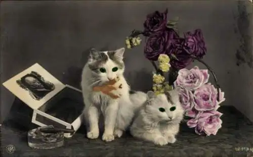 Ak Zwei Katzen, Rosen