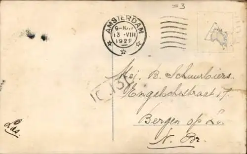 Ak Zwei Katzen, Rosen