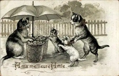 Ak Vermenschlichte Katzen, Marktstand mit Schirm und Korb
