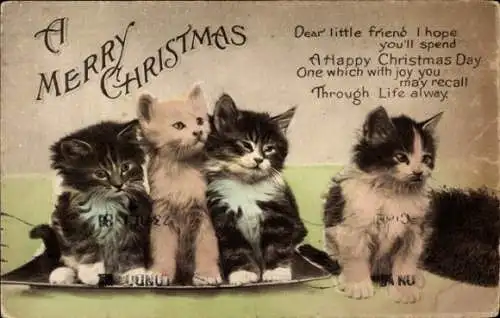 Ak Frohe Weihnachten, vier junge Katzen