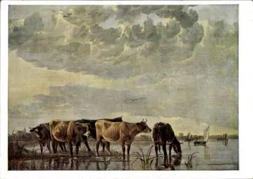 Ak Ort Kochel am See Oberbayern, Kühe im Wasser, A. Cuyp