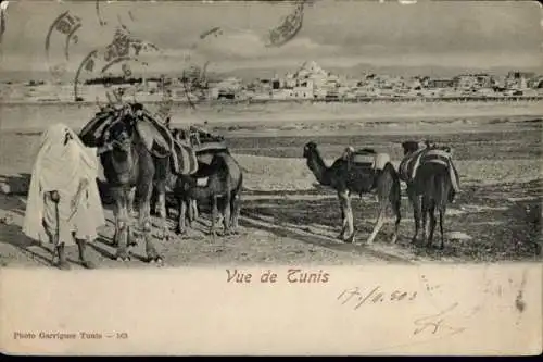 Ak Tunis Tunesien, Wüstenlandschaft, Kamele, Beduinen, Stadtansicht
