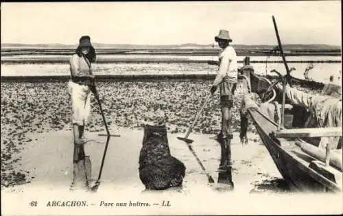 Ak Arcachon Gironde, Oyster farming, zwei Personen, Wasser, Boot, Muscheln, Sand