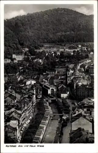 Ak Karlsbad in Baden,  Alte und Neue Wiese, Landschaft, Schritte, Architektur