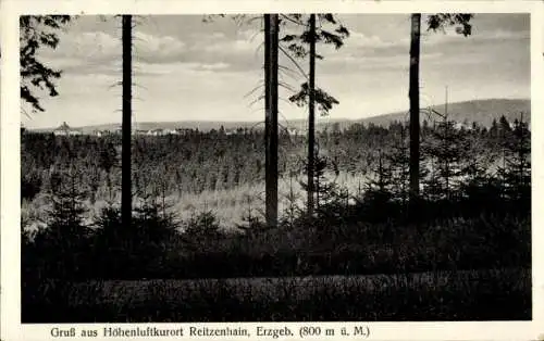 Ak Reitzenhain Marienberg im Erzgebirge, Panorama