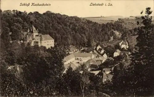 Ak Liebstadt Erzgebirge Sachsen, Schloss Kuckuckstein