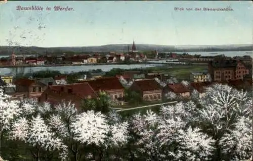 Ak Werder an der Havel, Baumblüte, Blick von der Bismarckhöhe