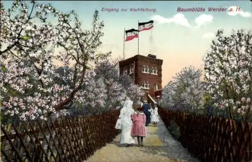 Ak Werder an der Havel, Eingang zur Wachtelburg, Baumblüte, Bäume, Menschen, Flaggen