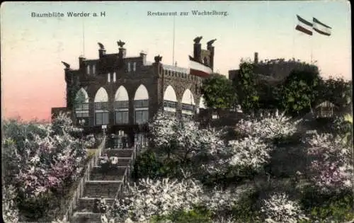 Ak Werder an der Havel, Restaurant zur Wachtelburg, Baumblüte