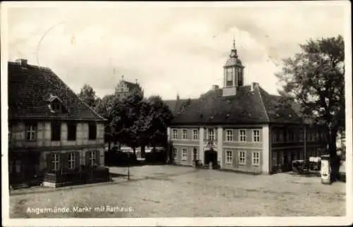 Ak Angermünde in der Uckermark, Marktplatz, Rathaus,  Architektur, Bäume