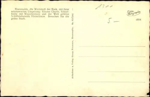 Ak Eberswalde, Blick vom Drachenkopf, Kirchturm