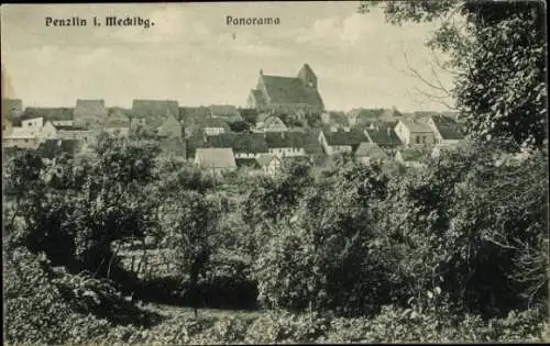 Ak Penzlin in Mecklenburg, Panorama