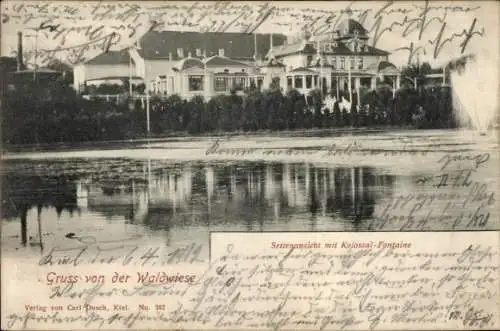Ak Kiel, Seitenansicht mit Kolossal-Fontaine, Gruss von der Waldwiese