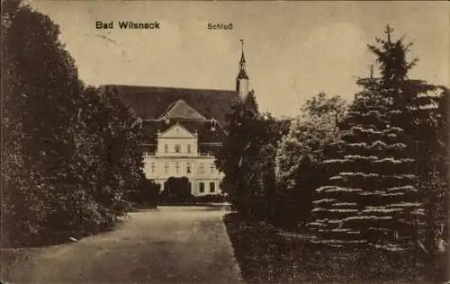 Ak Bad Wilsnack in der Prignitz, Schloss von  ruhige Allee, Bäume,  Architektur