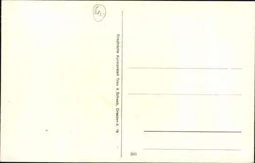 Ak Sebnitz Sächsische Schweiz, Große Zschandstraße mit Zeughaus und Forsthaus, Panorama