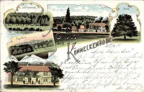 Litho Könneckenrode Wallmoden Niedersachsen, Petersbrunnen, Pagenberg, Restauration Schmidt, Buche