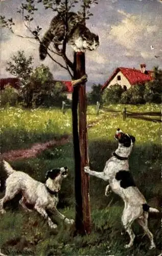 Künstler Ak Hunde, Katze auf dem Baum