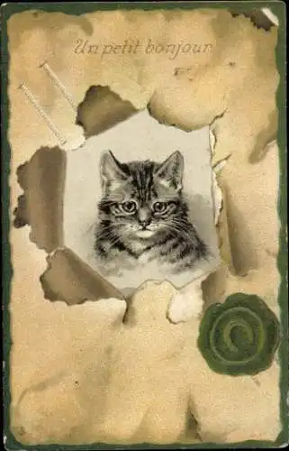 Präge Ak Katze schaut aus Loch in der Wand