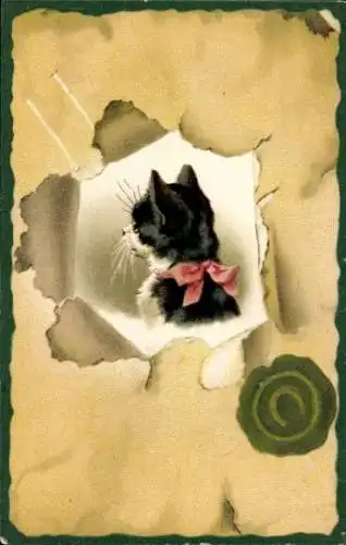 Ak Katzenportrait, Rückansicht, Hufeisen