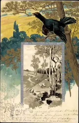 Präge Litho Glückwunsch Ostern, Auerhahn, Birken, Schafe