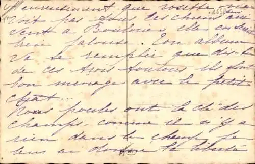 Ak Drei junge Hunde und eine weiße Katze auf einem Kissen