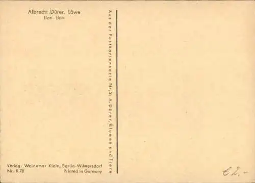 Künstler Ak Dürer, A., Löwe