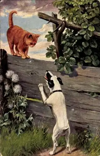 Ak Alkmaar Nordholland Niederlande, Hund schaut zu Katze auf Zaun hoch, beide blicken sich an.
