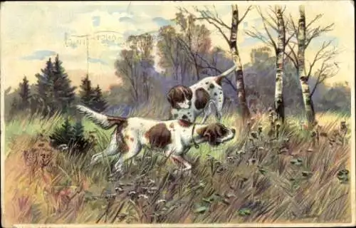 Ak Mechelen Mecheln Malines Flandern Antwerpen, Zwei Jagdhunde in einer Landschaft