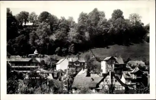 Ak Schwarzburg in Thüringen, Verschiedene Häuser im Vordergrund, bewaldeter Hang im Hintergrund, 