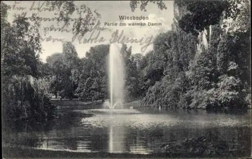 Ak Wiesbaden in Hessen,  Partie am warmen Damm, Brunnen, Parklandschaft