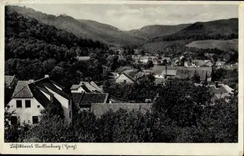 Ak Stecklenberg Thale im Harz, Panorama