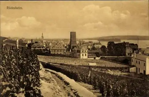 Ak Rüdesheim am Rhein, Historische Stadtansicht, Weinberge, Kirchturm, Fluss