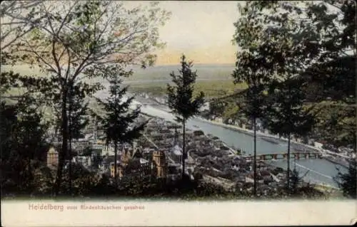 Ak Heidelberg am Neckar, Stadtansicht, Neckarfluss, alte Architektur, Rindenhäuschen
