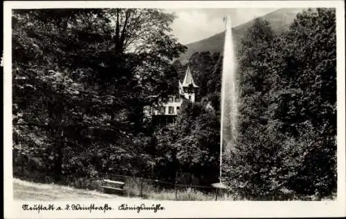 Ak Neustadt an der Weinstraße, Blick auf ein Schloss im Wald, Springbrunnen, alte Bäume