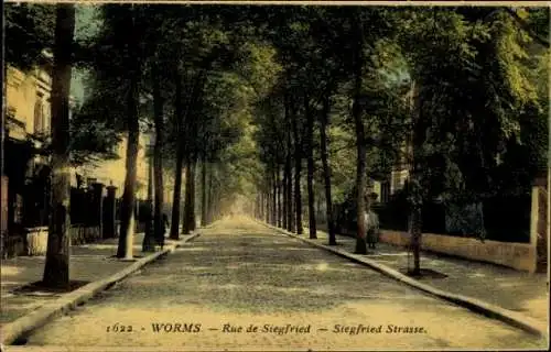 Ak Worms am Rhein, Allee mit Bäumen, Straße in  Siegfriedstraße, stimmungsvolles Bild