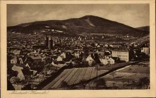 Ak Neustadt an der Weinstraße, Blick auf die Stadt, Berge im Hintergrund,  Gebäude, Weinberge