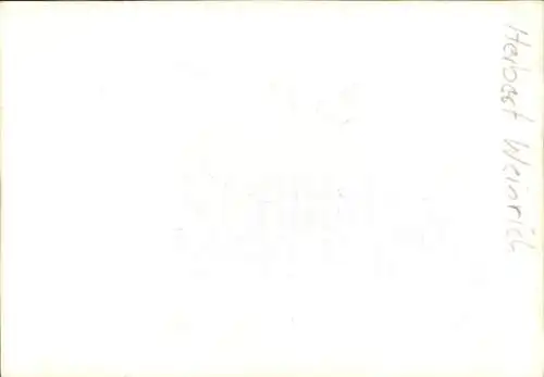 Foto Radrennfahrer Herbert Weinrich, Portrait