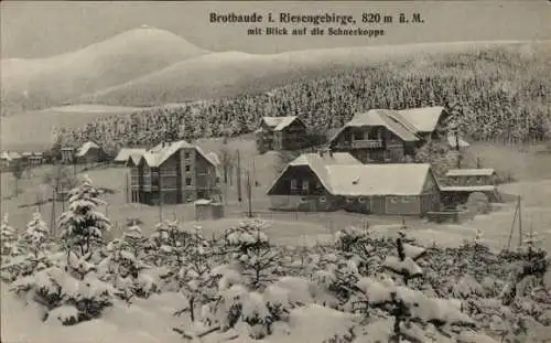 Ak Karpacz Górny Brückenberg Krummhübel Riesengebirge Schlesien, Brotbaude, Winter, Schneekoppe